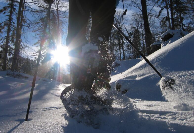 Schneeschuhwandern rund um Leutasch