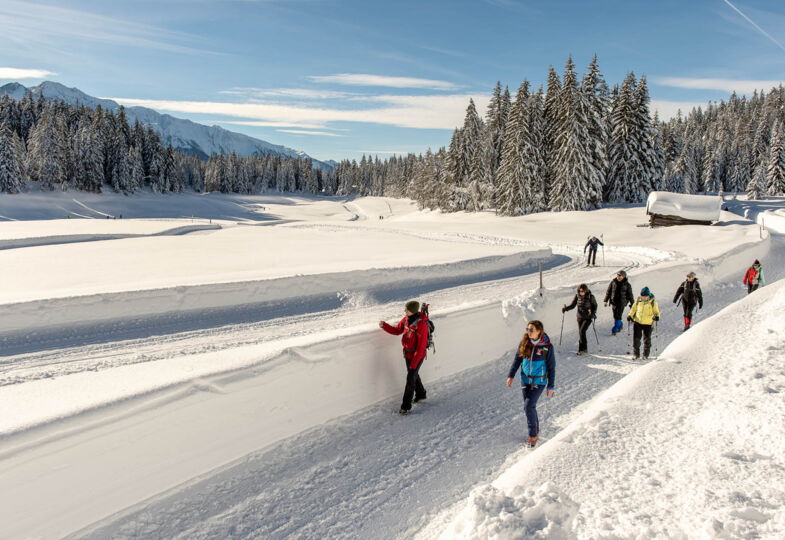Egal ob Langlauf oder Winterwandern