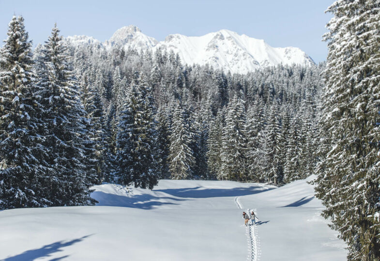 Winterwandern in Leutasch