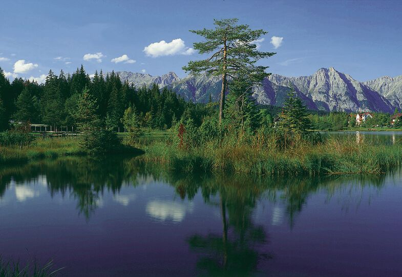 Der Wildsee in Seefeld