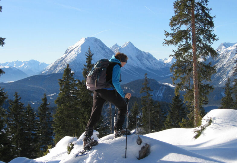 Die Natur mit Schneeschuhen entdecken